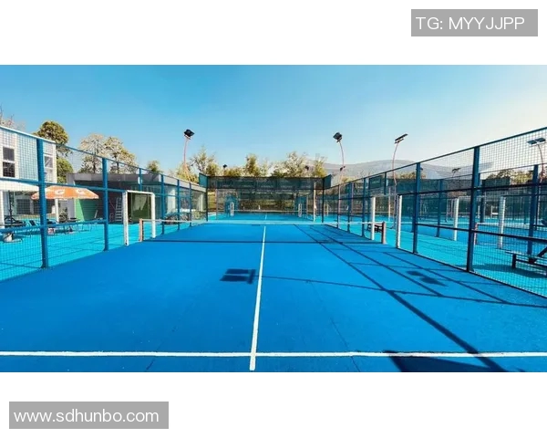 广州网球队引领最新网球技术TOP10创新潮流与发展趋势解析